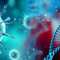 delta corona viruse 2 delta corona viruse 2